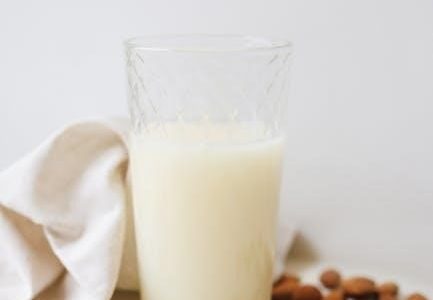 aip diet plan pdf free