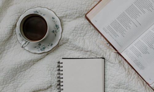 reading the bible in a year pdf