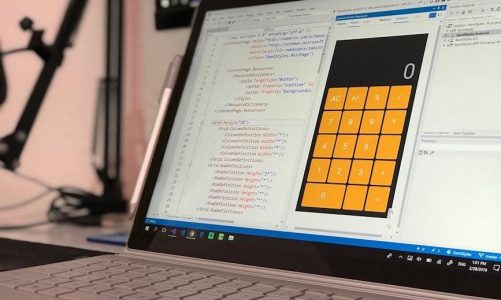 practice incentive program application form