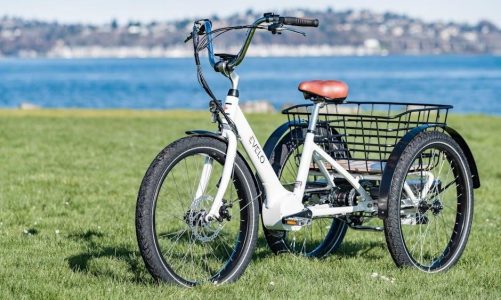 varun electric bike owners manual pdf